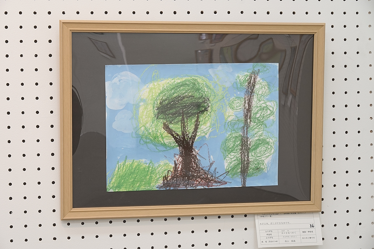 ぼくがすきな木です(高山 陽義)