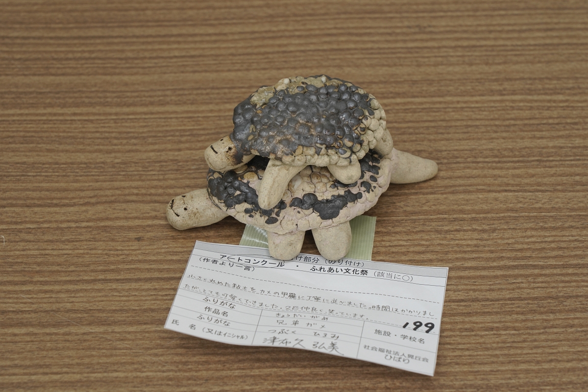 兄弟ガメ(津布久 弘美)