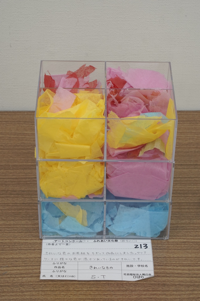 きれいなもの(S・T)