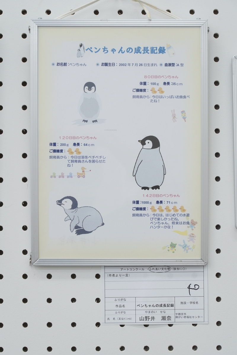 ペンちゃんの成長記録(山野井 瀬奈)